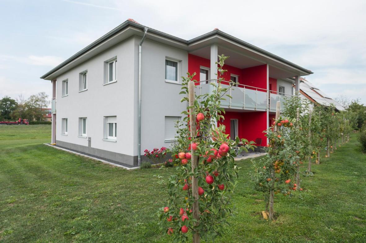 Oberdachstetten Hofmann'S Apartements & Ferienwohnungen מראה חיצוני תמונה