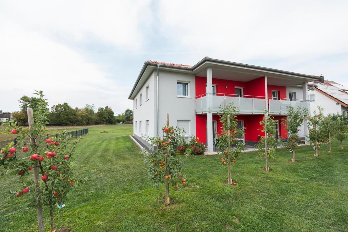 Oberdachstetten Hofmann'S Apartements & Ferienwohnungen מראה חיצוני תמונה